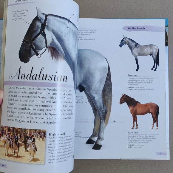 Horses: The Ultimate Treasury - Picture 3 of 3